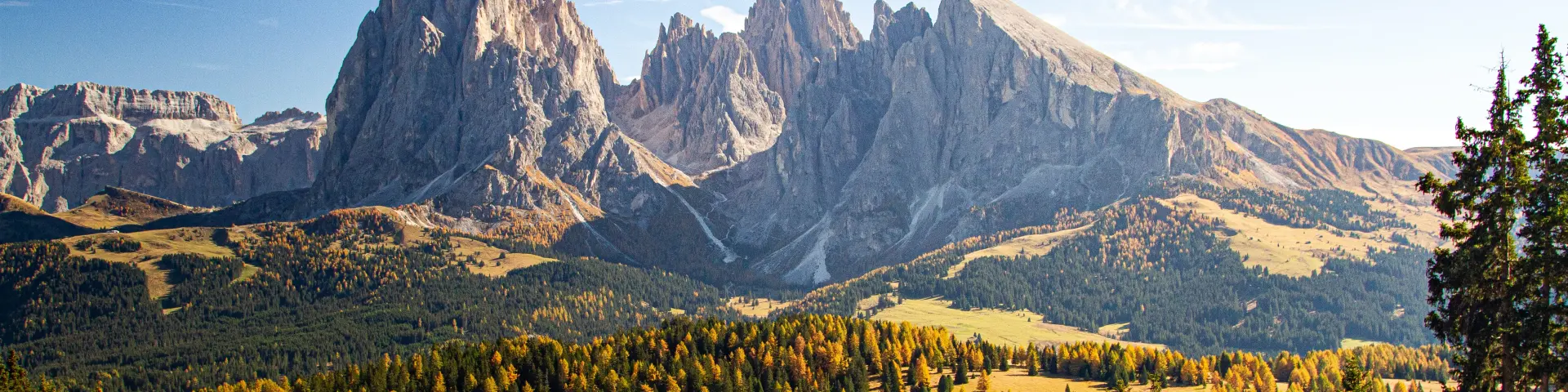 Paysage montagneux et forêt