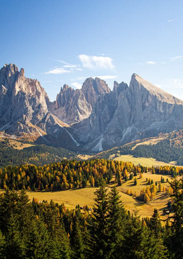 Paysage montagneux et forêt